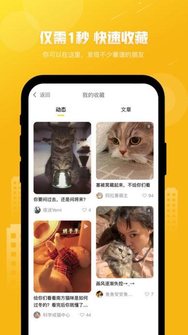友猫软件下载,友猫,社交app,养猫app